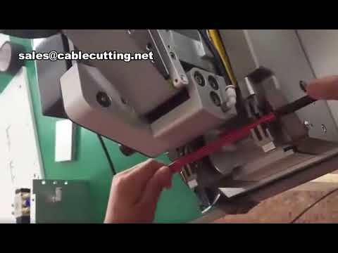 Tape wrapping machine for wire harness