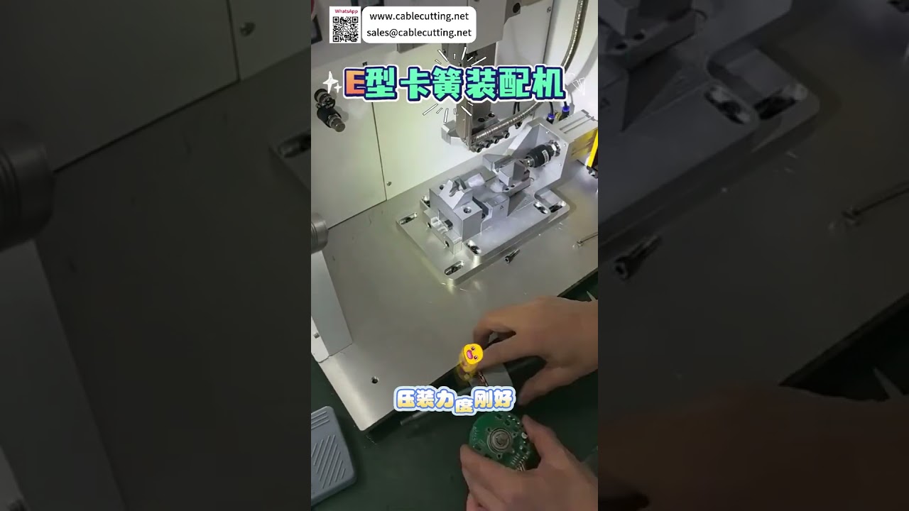 Automatic E Type Circlip Assembly Machine High Accuracy Positioning Auto Machinery Factory - Shorts
