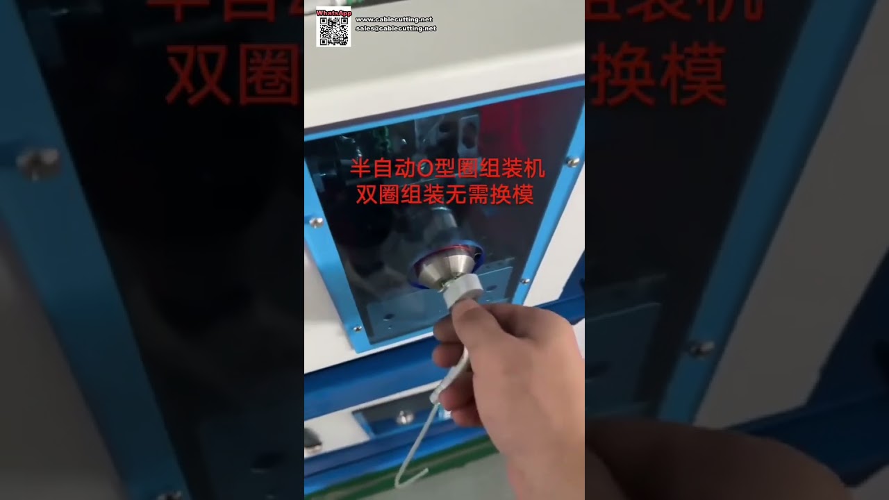 Semi Automatic Double O Ring Seal Assembly Machine for Factory Production Lines - Shorts