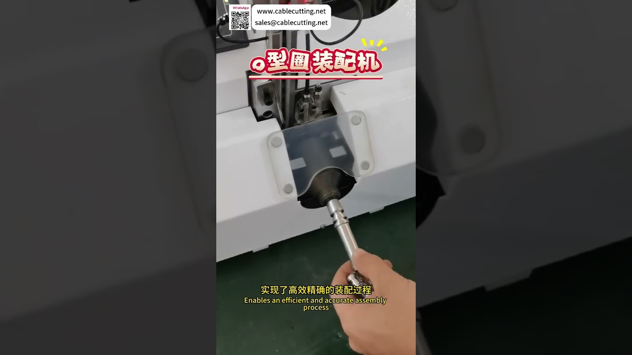 Reliable Automated Assembly Equipment System Custom High Precision Production Machinery Factory - Shorts