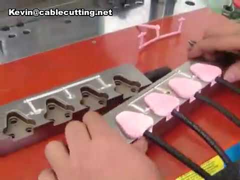 Electric Plug Injection Molding Machine | Automated Plug Manufacturing System