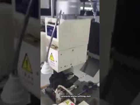 Automatic one head terminal stripping crimping Machine, for 8mm2 cable