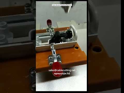 Auto Screw Feeding Machine