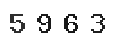 Verification Code Image